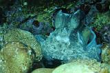 2009-09-08 12-52-54Li